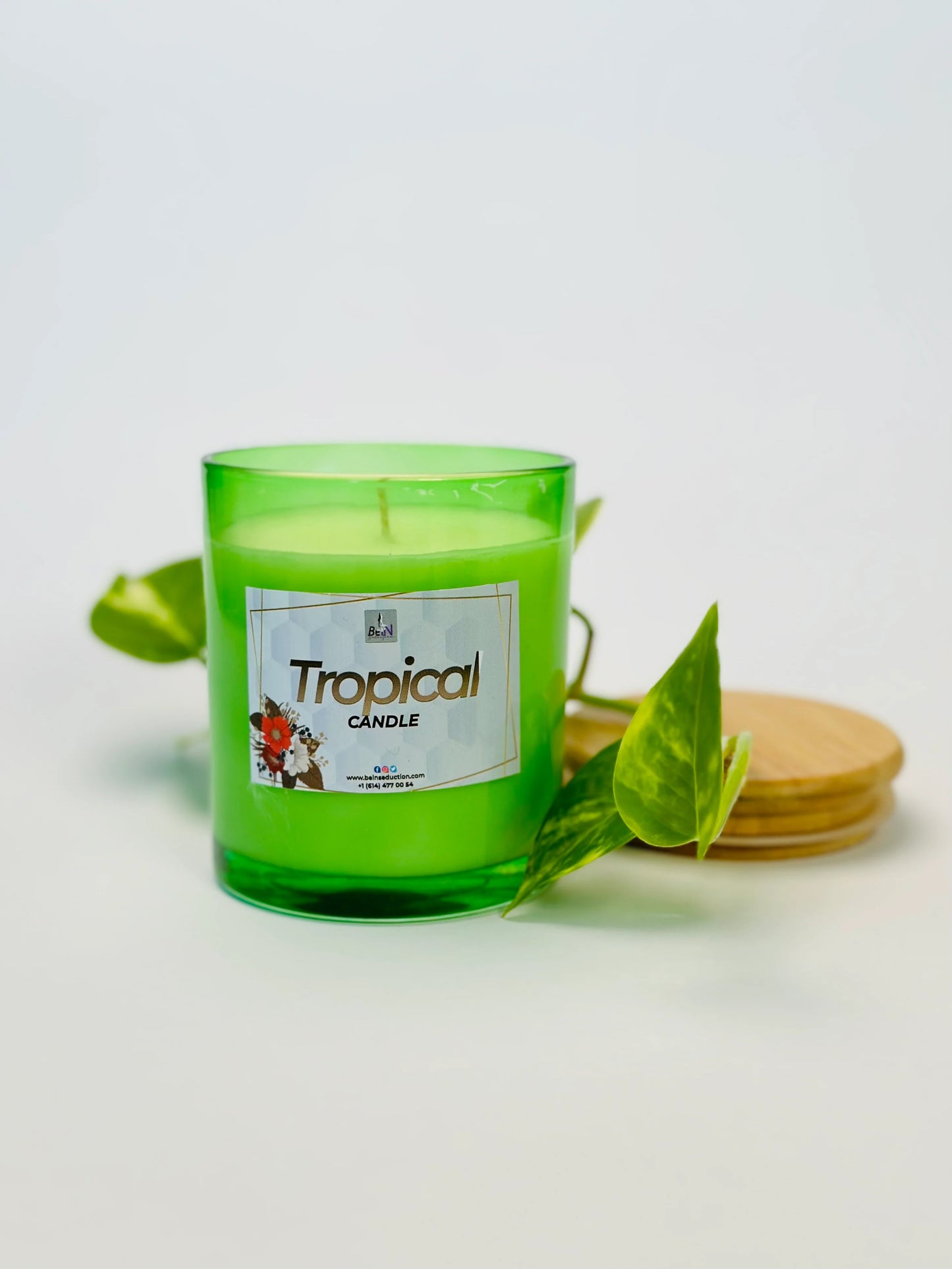 Tropical Soy Single Wick Wax Candle